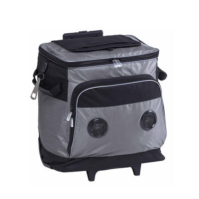 Trolley cooler bag with music player