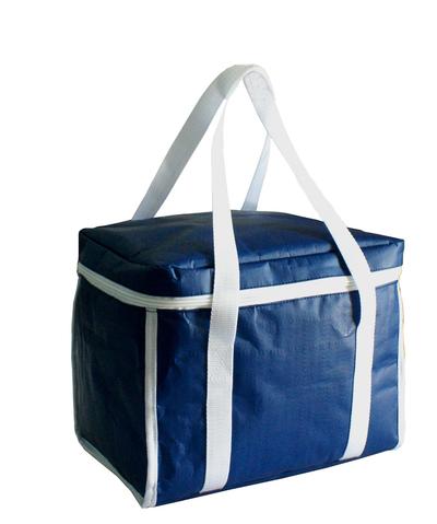 nonwoven cooler bag